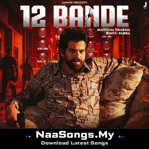12 Bande
