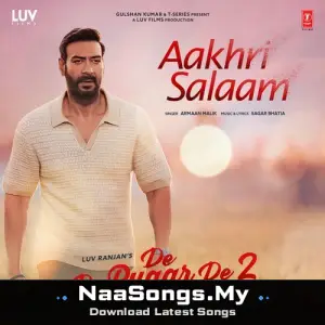 Aakhri Salaam (From "De De Pyaar De 2")