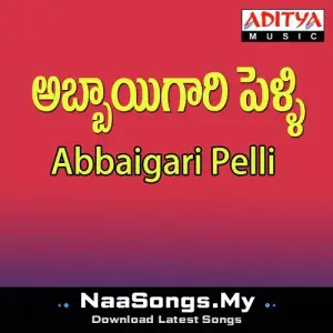 Abbaigari Pelli