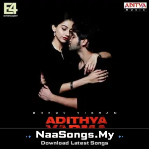 Adithya Varma