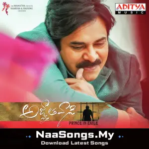 Agnyaathavaasi