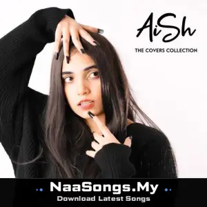 AiSh: The Covers Collection