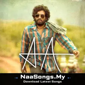 Allu Arjun (Fan Made Song)