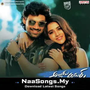 Alludu Adhurs