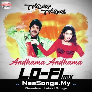 Andhama Andhama - Lofi Mix (From "Govinda Govinda")