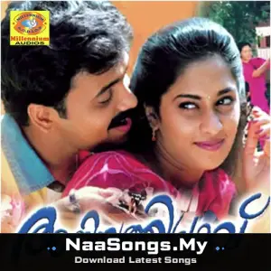 Aniyathipravu