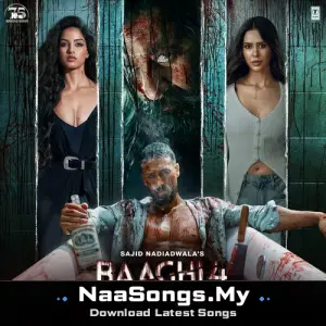 Baaghi 4
