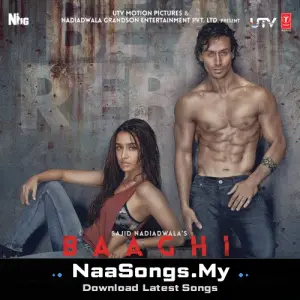 Baaghi
