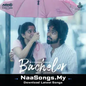 Bachelor (Original Motion Picture Soundtrack)