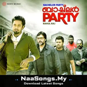 Bachelor Party mp3 download