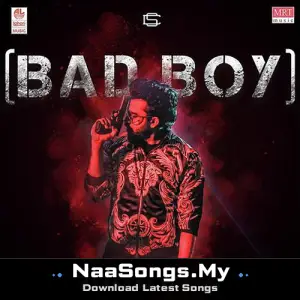Bad Boy