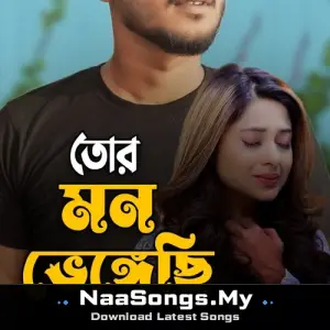 Bangla Sad Song (Ami Vule Korechi Tor Mon Bhegechi)
