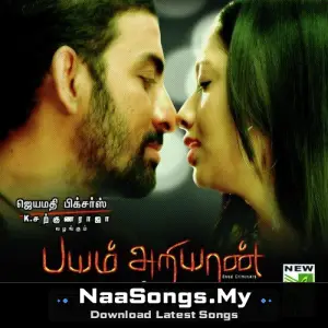 Bayam Ariyaan