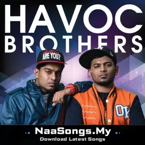 Best of Havoc Brothers