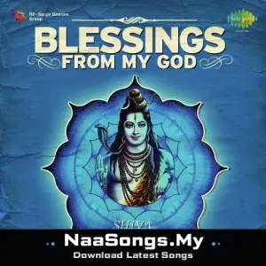 Blessings From My God Shiva