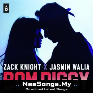 Bom Diggy