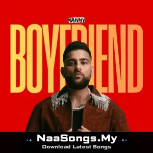 Boyfriend (remix)