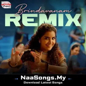 Brindavanam - Official Remix (From "Rowdy Boys")