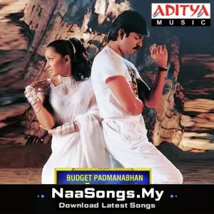 Budget Padmanabham