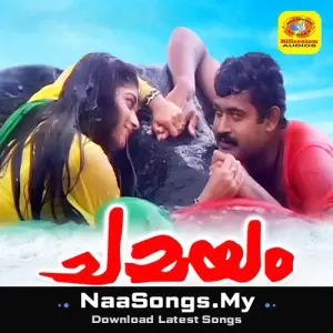 Chamayam (Original Motion Picture Soundtrack)