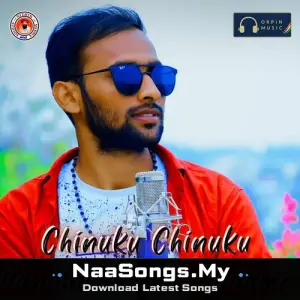 Chinuku Chinuku Vanallo Thadisi Podame