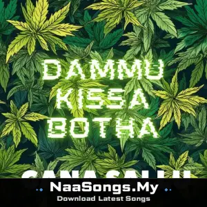 Dammu Kissa Botha (So Mitta Sai Baba)