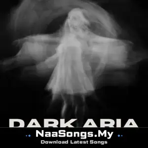 DARK ARIA ＜LV2＞