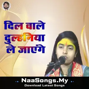 Dil Wale Dulhaniya Le Jaayenge