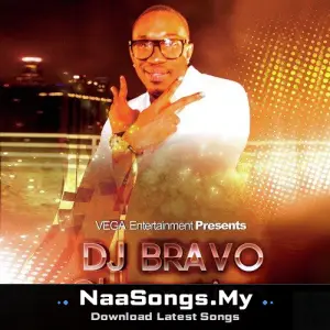 DJ Bravo Champion