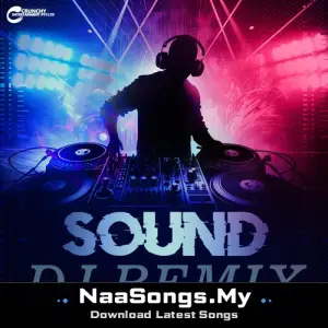 Dj Remix