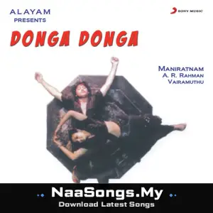 Donga Donga