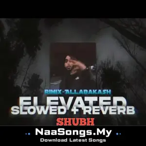 Elevated shubh (feat. Mr kallar)