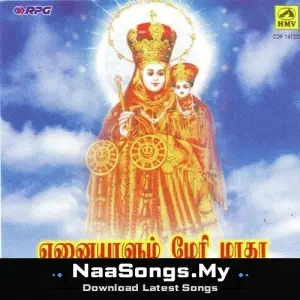 Enaiyaalum Mary Maadha (Collection)