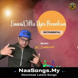 Ennaii Vittu Uyir Poonalum - Instrumental