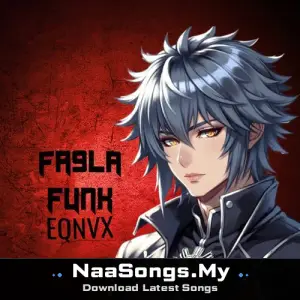 FA9LA Funk