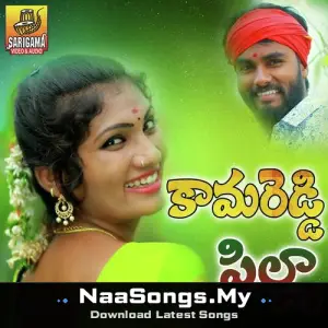 Folk Dj Song