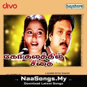 Gokulathil Seethai