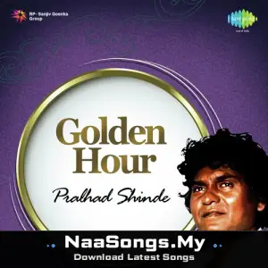 Golden Hour - Pralhad Shinde