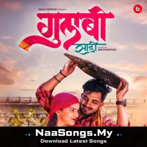 Gulabi Sadi