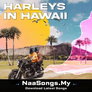 Harleys In Hawaii