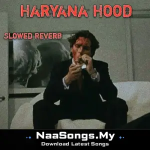 Haryana Hood (Slowed + Reverb)
