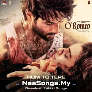 Hum To Tere Hi Liye The (From "O' Romeo")