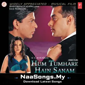 Hum Tumhare Hain Sanam