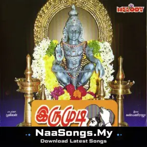 Irumudi