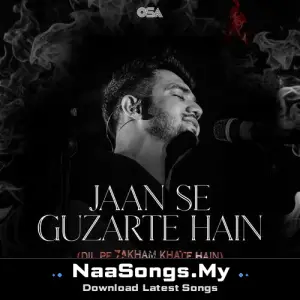 Jaan Se Guzarte Hain (Dil Pe Zakham Khate Hain) mp3 download