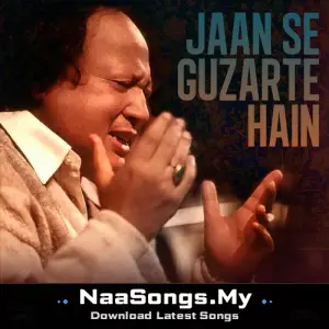 Jaan Se Guzarte Hain (Remix / Dil Pe Zakham Khate Hain)