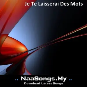 Je te laisserai des mots