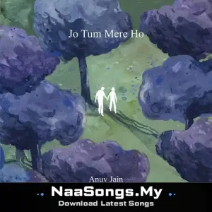 Jo Tum Mere Ho