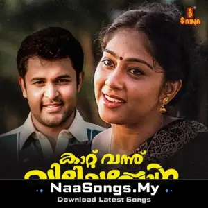 Kaattu Vannu Vilichappol