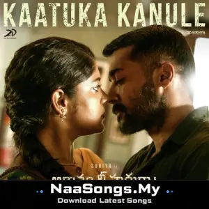 Kaatuka Kanule (From "Aakaasam Nee Haddhu Ra")